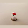 A small glass dome containing a red rose with a green stem.