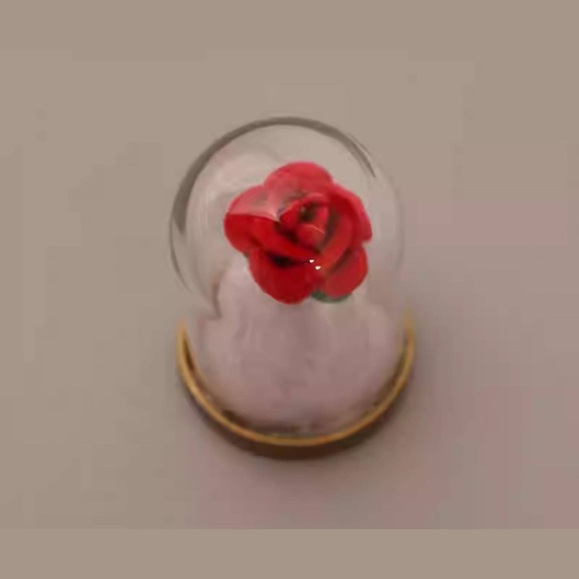 A red rose inside a glass dome, placed on a plain surface.