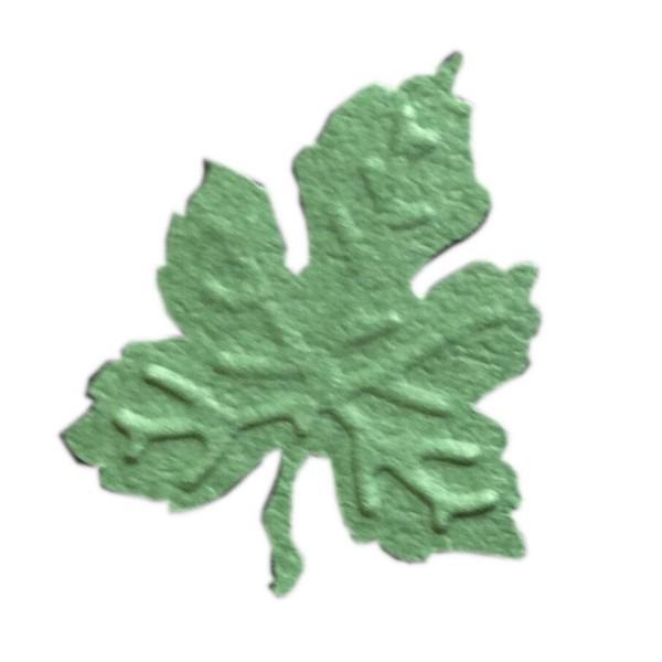 A green leaf-shaped object is shown against a white background.
