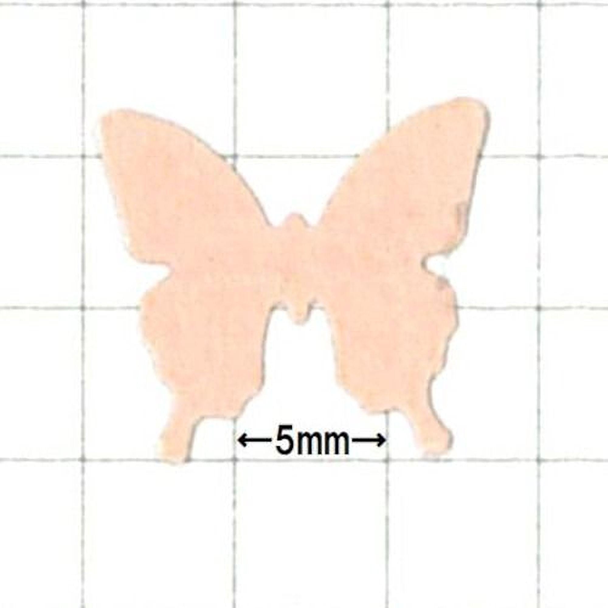 a small, light pink butterfly-shaped object with a scale of 5 millimeters.