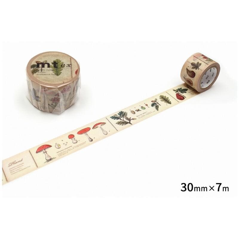 a roll of beige-colored tape with various illustrations of mushrooms and plants on it, along with a small round object. The tape is placed on a white surface, and there is a text indicating the size of the tape in millimeters and centimeters.