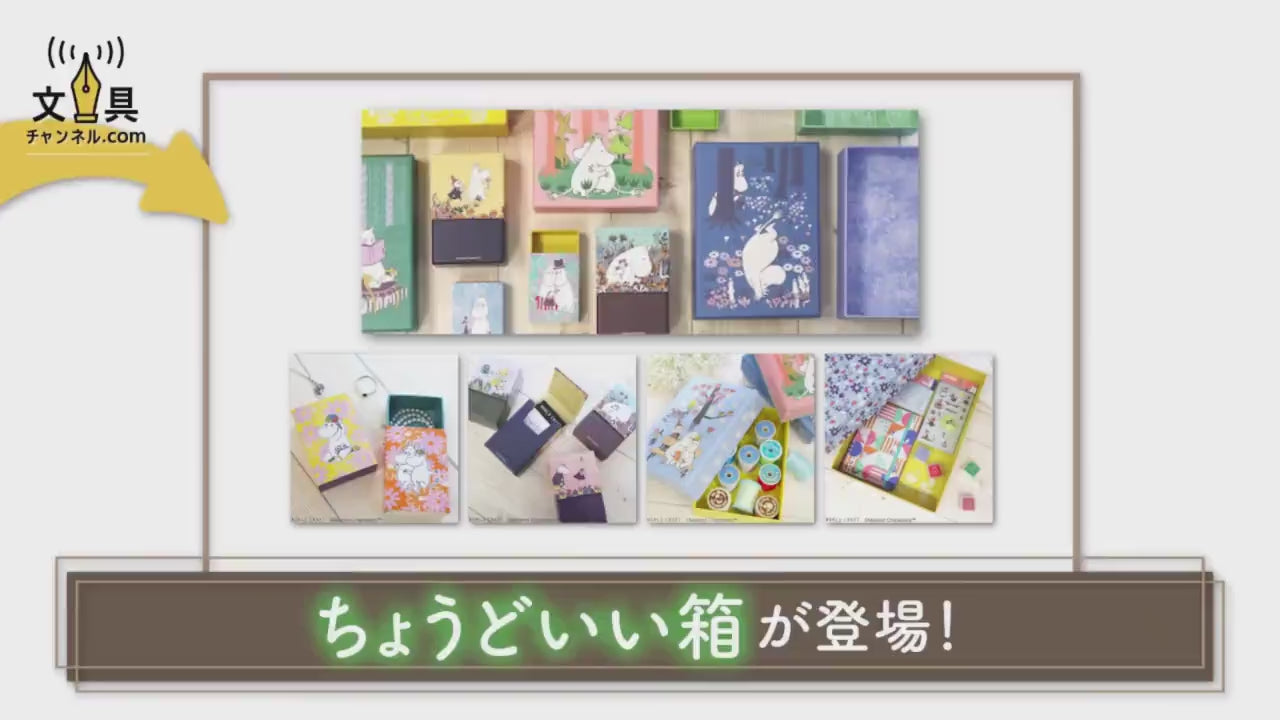 Moomin Craft, Notion, Tools, Stationery, Sewing Storage Box